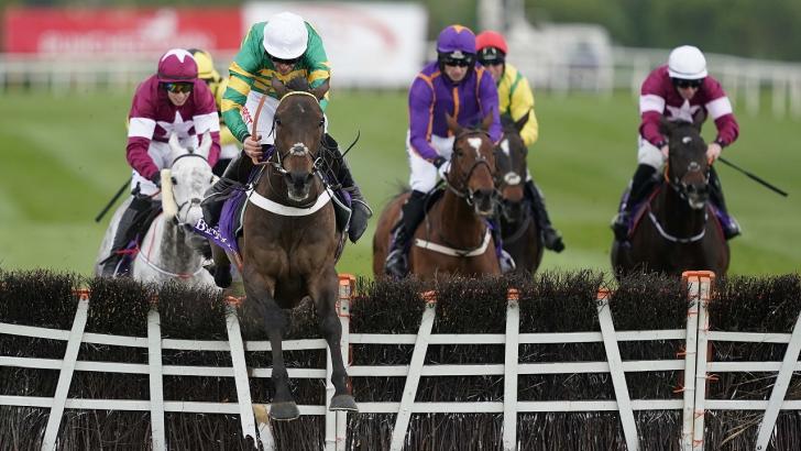 Horses over a hurdle in Ireland